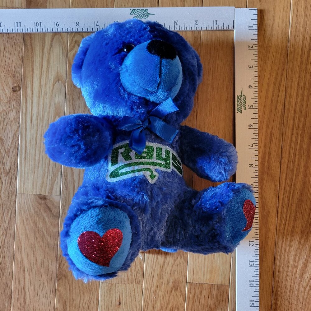 Blue Stingray Allstar cheer teddy bear